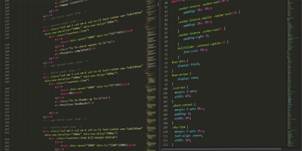 HTML CSS and Javascript Explained with Examples