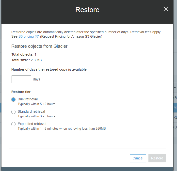 Amazon Glacier Restore - Glacier Restore Options