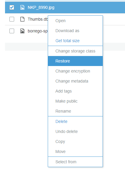 Amazon Glacier Restore - S3 Restore Menu